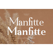 Manfitte字体