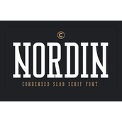 Nordin slab字体