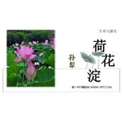 《荷花淀》PPT教学课件