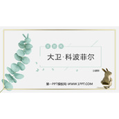 《大卫·科波菲尔》PPT课件