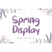 Spring display字体