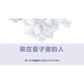 《装在套子里的人》PPT优秀课件