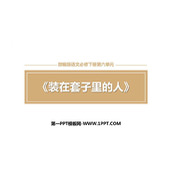 《装在套子里的人》PPT优质课件