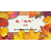 《说“木叶”》PPT教学课件下载