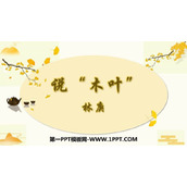 《说“木叶”》PPT优质课件
