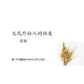 《文氏外孙入村收麦》PPT教学课件