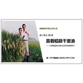 《喜看稻菽千重浪》PPT免费课件