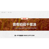 《喜看稻菽千重浪》PPT教学课件