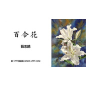 《百合花》PPT教学课件下载