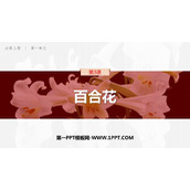 《百合花》PPT免费下载