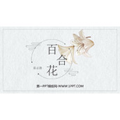 《百合花》PPT免费课件