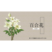 《百合花》PPT优质课件