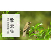 《致云雀》PPT免费下载
