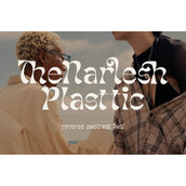 Narlesh plasttic字体