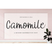 Camomile字体
