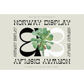norway字体