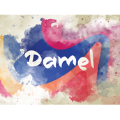 d damel字体