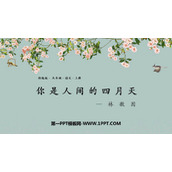 《你是人间的四月天》PPT免费优质课件