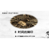 《时间的脚印》PPT优质课件下载