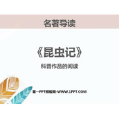 《昆虫记》PPT课件下载