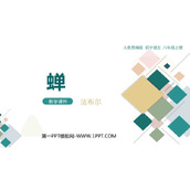 《蝉》PPT免费教学课件