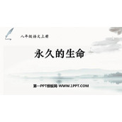 《永久的生命》PPT精品课件下载