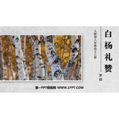 《白杨礼赞》PPT免费精品课件