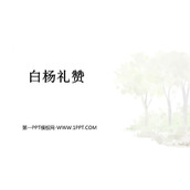 《白杨礼赞》PPT免费教学课件