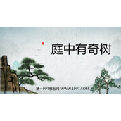 《庭中有奇树》课外古诗词诵读PPT课件下载