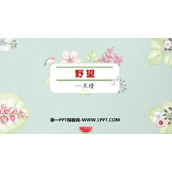 《野望》PPT免费课件下载
