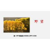 《野望》PPT优质课件下载