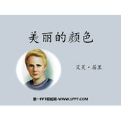 《美丽的颜色》PPT精品免费课件
