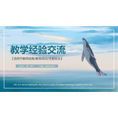 碧海蓝天与鲸鱼背景的教学经验交流PPT模板