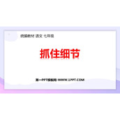 《抓住细节》PPT优秀课件