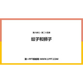 《蚊子和狮子》PPT精品课件下载