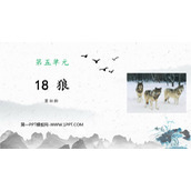 《狼》PPT精品课件下载