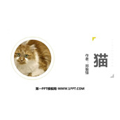 《猫》PPT免费课文课件
