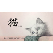 《猫》PPT免费优质课件