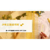 《少年正是读书时》PPT优质课件下载