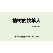 《植树的牧羊人》PPT精品课件下载