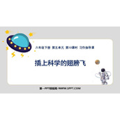 《插上科学的翅膀飞》PPT优秀课件