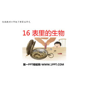 《表里的生物》PPT优质课件下载