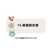 《表里的生物》PPT精品课件下载