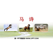 《马诗》古诗三首PPT课件下载