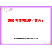 《汤姆·索亚历险记》PPT优秀课件下载
