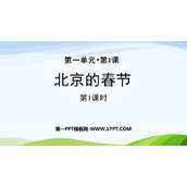 《北京的春节》PPT免费课件(第1课时)