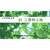 《三黑和土地》PPT优质课件下载
