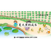 《夏天里的成长》PPT免费课件下载