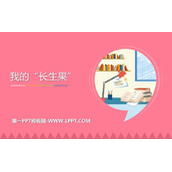 《我的“长生果”》PPT优秀课件下载