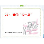 《我的“长生果”》PPT优质课件下载